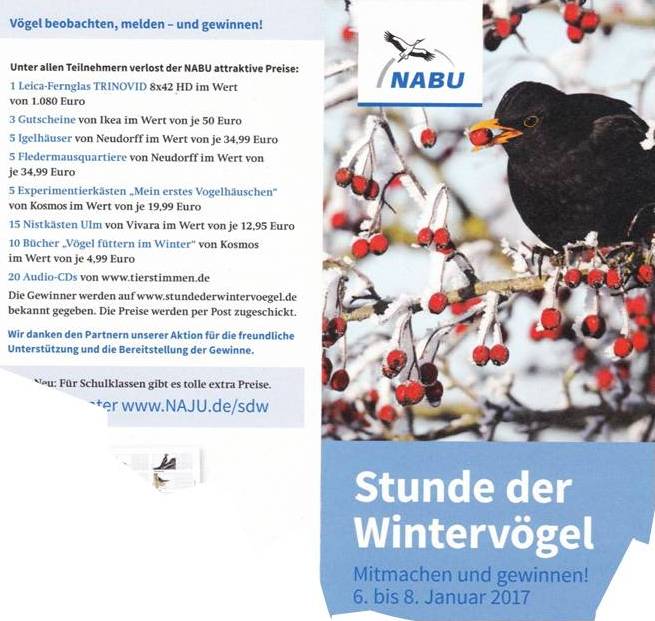 Stunde der Wintervögel Stunde der Wintervögel