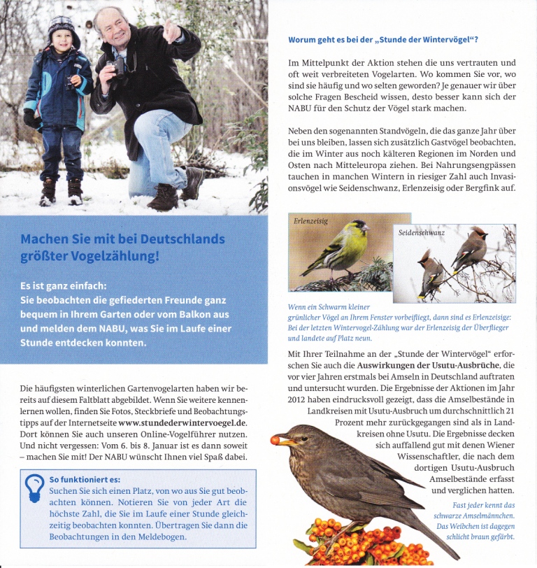 Stunde der Wintervögel Stunde der Wintervögel