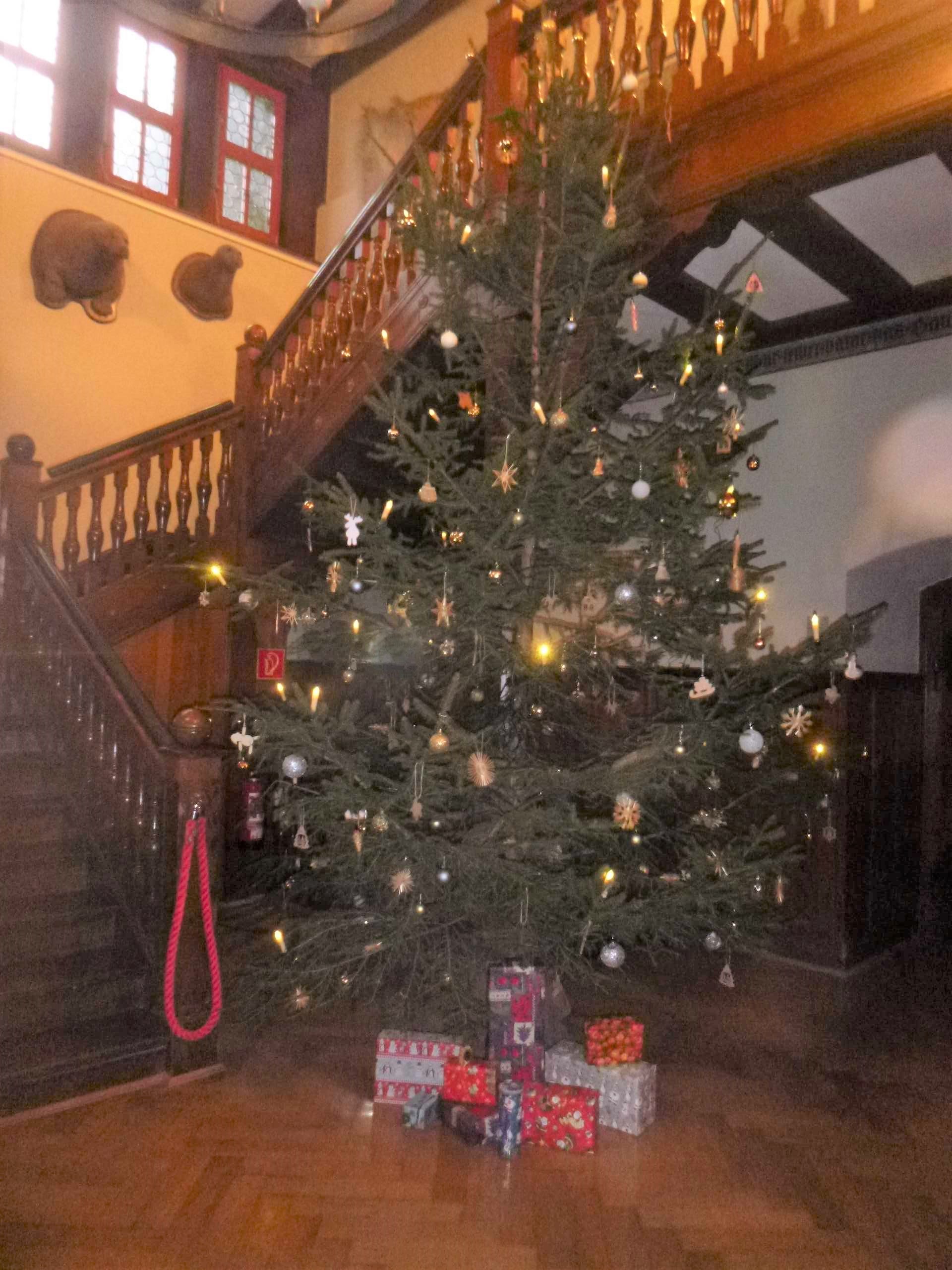VSW Weihnachtsbaum VSW Weihnachtsbaum